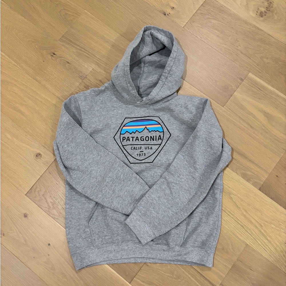 Patagonia 🏔️ Gray Men's Hoodie Sweater